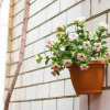 Гостиница Mary Guest House Гостиница Mary Guest House в Анапе