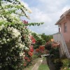 Отель Apartment With one Bedroom in Sainte Anne, With Enclosed Garden and Wifi Отель Apartment With one Bedroom in Sainte Anne, With Enclosed Garden and Wifi в Сент-Анне