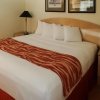 Отель Rodeway Inn South Miami - Coral Gables, фото 6