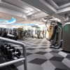 Sports