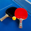 Sports