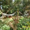 Отель Club Y Centro Ecoturistico San Martin Отель Club Y Centro Ecoturistico San Martin в Сан-Игнасио