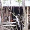 Отель Isla Palma Playa Y Ecohabs Отель Isla Palma Playa Y Ecohabs в Исла-Пальме