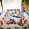 Meal