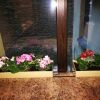 Гостиница Меблированные комнаты Старая Мелодия Гостиница Меблированные комнаты Старая Мелодия в Санкт-Петербурге