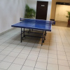 Sports