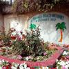 Отель Hamala Beach Resort Отель Hamala Beach Resort в Аль-Джасра