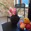 Отель Guest House Staraya Gagra Отель Guest House Staraya Gagra в Гагре