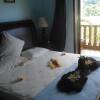 Отель Bayview Seychelles Resort Отель Bayview Seychelles Resort на Острове Маэ
