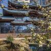 Отель Kailas Park Sochi Отель Kailas Park Sochi в Сочи