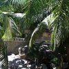 Отель L'echo des Vagues Apartments Отель L'echo des Vagues Apartments на Острове Маэ