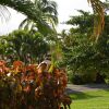 Отель Studio in Sainte Anne, With Wonderful sea View, Furnished Garden and Wifi - 50 m From the Beach Отель Studio in Sainte Anne, With Wonderful sea View, Furnished Garden and Wifi - 50 m From the Beach в Сент-Анне