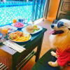 Meal