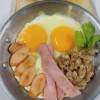 Meal