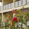 Отель Acajou Beach Resort Отель Acajou Beach Resort на Острове Праслине