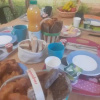 Meal
