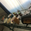 Meal