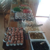 Meal