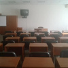 Business