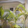 Отель Sugar Bay Barbados - All Inclusive Отель Sugar Bay Barbados - All Inclusive в Крайстчёрч