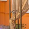 Гостиница Mini hotel Versal Гостиница Mini hotel Versal в Сочи