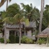Отель Little Polynesian Resort Отель Little Polynesian Resort в Раротонге