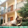 Гостевой дом Элис Гостевой дом Элис в Анапе