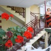 Отель Фиеста Отель Фиеста в Сочи