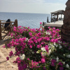 https://cdn.ostrovok.ru/t/100x100/hotel_review/01/f8/01f8c8e69ebd1eef6364d04e9cffdcfd9c5c249b.JPEG