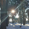 https://cdn.ostrovok.ru/t/100x100/hotel_review/06/8e/068ef6852d4c794a6d8564df8850365c55a0c601.jpeg