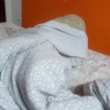 https://cdn.ostrovok.ru/t/100x100/hotel_review/06/a2/06a2ff06fbf060bf166da919b519e4e8c288d6b1.jpeg