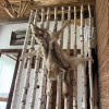 https://cdn.ostrovok.ru/t/100x100/hotel_review/0a/27/0a27dbd14b5a46cbf4e366fac65575bdba0dfc3c.JPEG