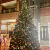 https://cdn.ostrovok.ru/t/100x100/hotel_review/0a/d0/0ad02f7a04af98adf1e86ef0bb5dfdcd7509c52d.JPEG