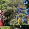 https://cdn.ostrovok.ru/t/100x100/hotel_review/0d/bf/0dbf7277941ade42c583e21cc954ccdda372a32b.jpeg