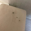 https://cdn.ostrovok.ru/t/100x100/hotel_review/13/fa/13faefdb6a82d7b9050c8bb20b359d0126ae44da.JPEG
