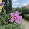 https://cdn.ostrovok.ru/t/100x100/hotel_review/1a/3e/1a3e41cb72d567db2bfbfd4a86937a7630eccea2.JPEG