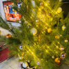 https://cdn.ostrovok.ru/t/100x100/hotel_review/20/c4/20c4e8532f71e22aa01e75f6a2033dbbe4319d86.jpeg