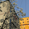 https://cdn.ostrovok.ru/t/100x100/hotel_review/21/d1/21d19d839b67e04909603601678c19fa89946efb.JPEG