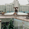 https://cdn.ostrovok.ru/t/100x100/hotel_review/22/fe/22fe2ebbc3f95b537ee3ef45304026e5ad41c8f9.jpeg