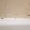 https://cdn.ostrovok.ru/t/100x100/hotel_review/26/4d/264d8c6564c4e397e2c3cb2ca2ced224ec2f72b8.jpeg