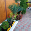 https://cdn.ostrovok.ru/t/100x100/hotel_review/29/a2/29a2dc3e561e0dc5d796ff3ecd7e93b143d0bbef.JPEG
