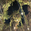 https://cdn.ostrovok.ru/t/100x100/hotel_review/2c/1e/2c1e2ebd719b178d2ba228d1aff8b752fa32a33f.JPEG