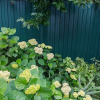 https://cdn.ostrovok.ru/t/100x100/hotel_review/2c/3f/2c3f530db4ae7334a36d7d5d4e8040d6f4cb638d.JPEG