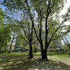 https://cdn.ostrovok.ru/t/100x100/hotel_review/2c/45/2c45f018a2e95dc74634f9a7dddbcf7b7dd9d9ec.JPEG