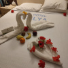 https://cdn.ostrovok.ru/t/100x100/hotel_review/2c/9c/2c9ccd5e44cffda6384ee71a94ca93a0d0f417d2.jpeg