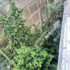https://cdn.ostrovok.ru/t/100x100/hotel_review/2c/ea/2cea18d690d285928ffcdee0cd05350ab18ca008.jpeg