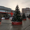https://cdn.ostrovok.ru/t/100x100/hotel_review/2d/0f/2d0fca641f030d9b051bc7eb334f592cabfb2411.jpeg
