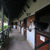 https://cdn.ostrovok.ru/t/100x100/hotel_review/2d/4d/2d4d087ac8a39e191604aea3d2261e9c8b404d2a.JPEG