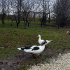 https://cdn.ostrovok.ru/t/100x100/hotel_review/2d/67/2d67fffc8e2a50005bbf8b440f4dd24c0d8ee4e5.jpeg