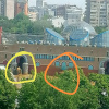 https://cdn.ostrovok.ru/t/100x100/hotel_review/2d/bc/2dbc4d50c9a497e96045e70e49da54502e263dc1.jpeg